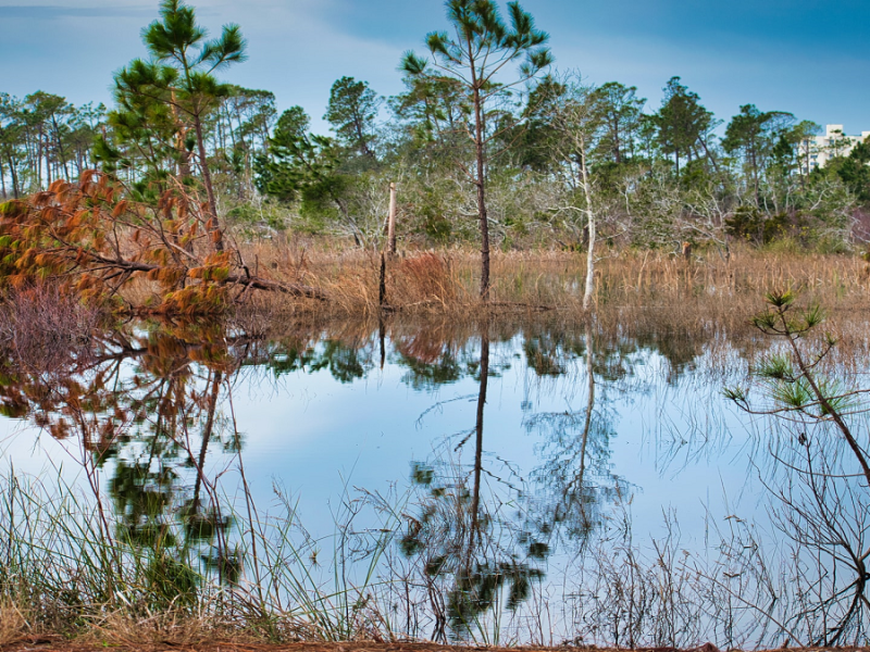 The Words of a Clever&nbsp;Elder