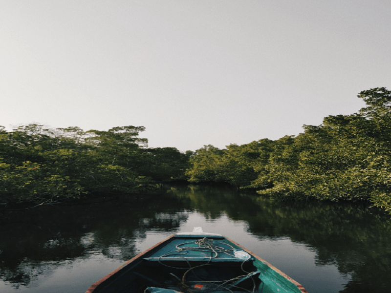 The Writer’s Life Interview-Part&nbsp;1