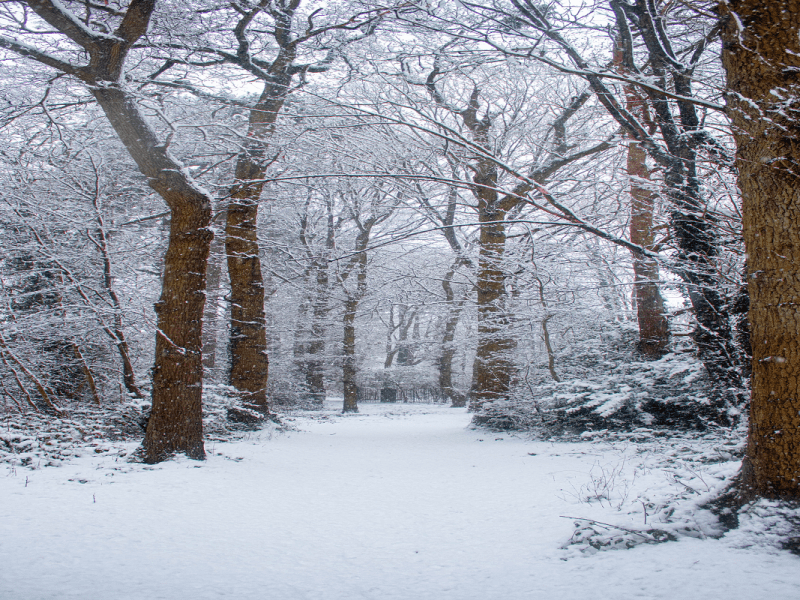 Open to Interpretation