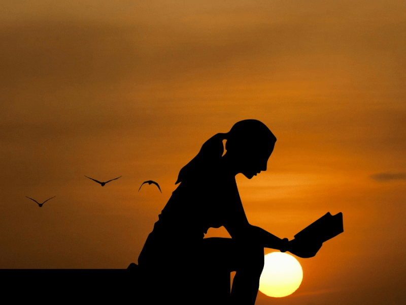 My Interview with SCBWI-MI About My Just-Released Book, “An Amazing Manatee*&nbsp;Journal!”