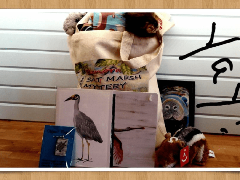 Elanora and the Salt Marsh Mystery                      Giveaways Have Been&nbsp;Finalized!