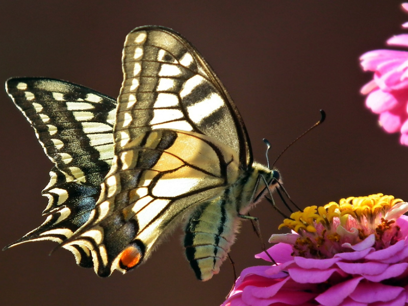 It’s That  Time of Year&nbsp;Again!