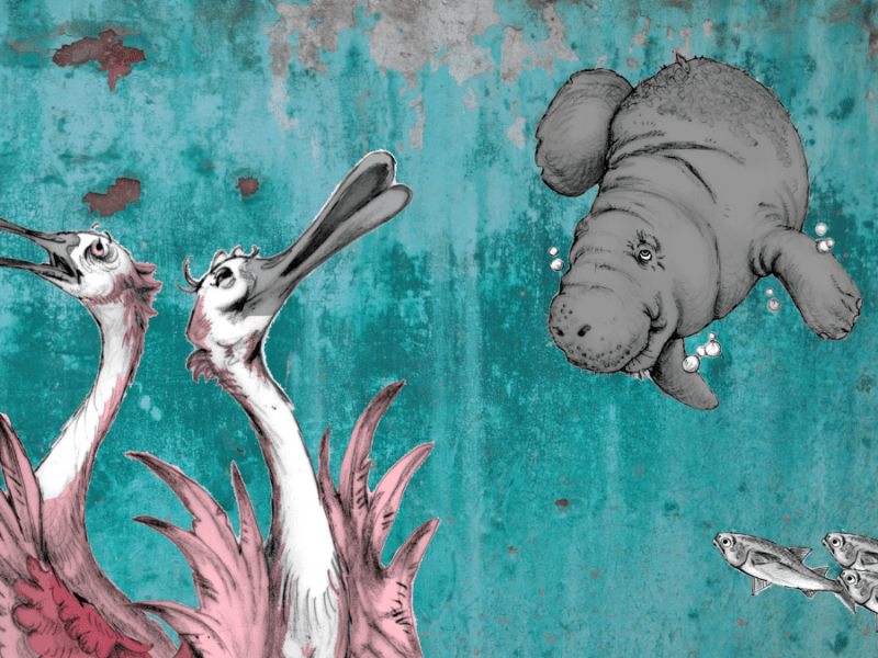 April Virtual Book Tour for Elanora and the Salt Marsh Mystery-Part&nbsp;2