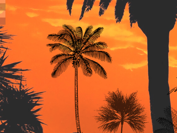 Island Times Three to Be Published Next&nbsp;Month