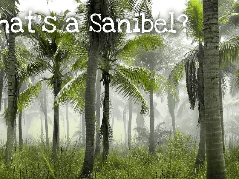 Part 2–Island Times Three to Be Published Next&nbsp;Month